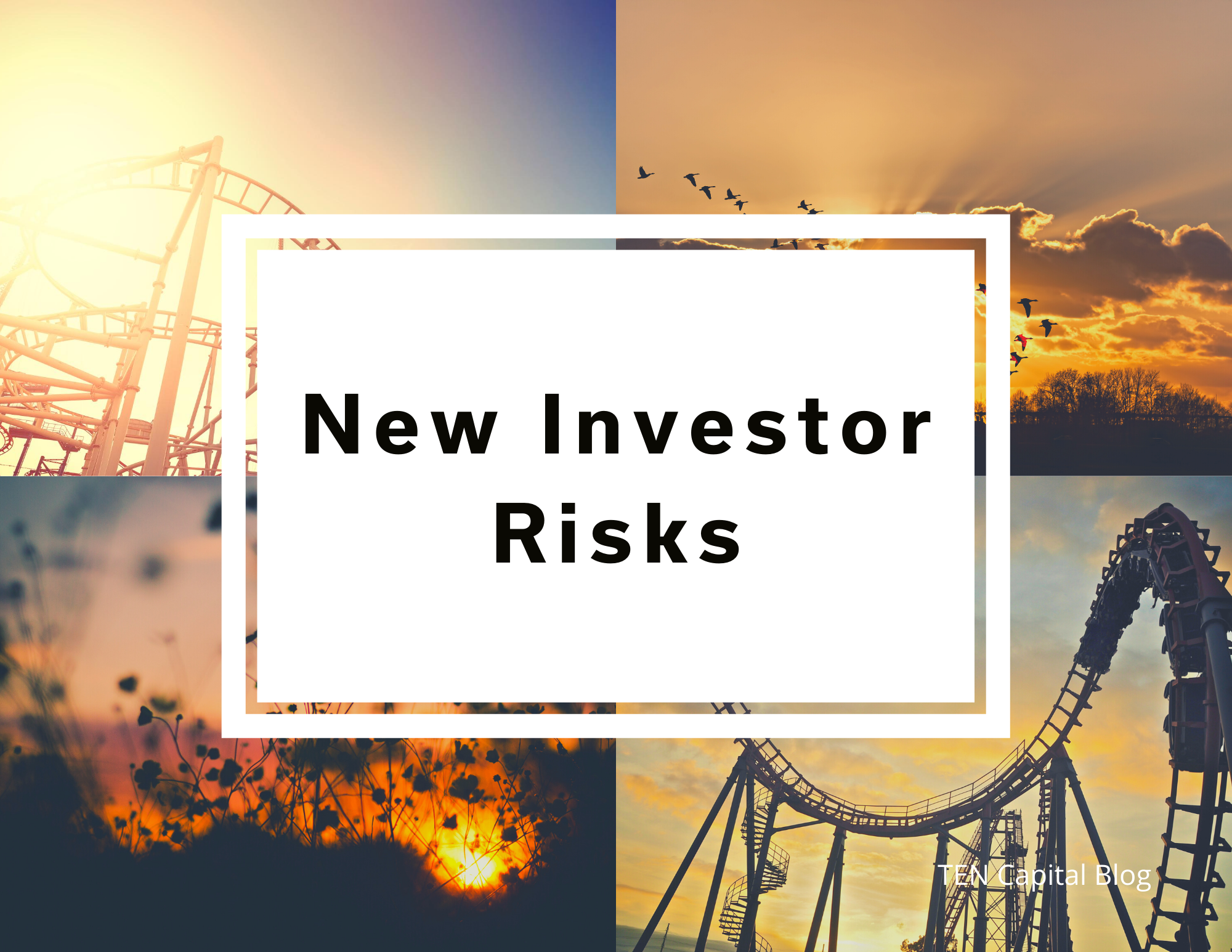 New Investor Risks
