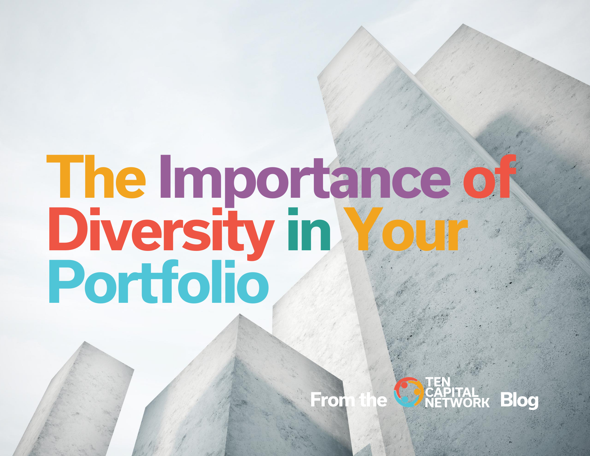 portfolio diversity