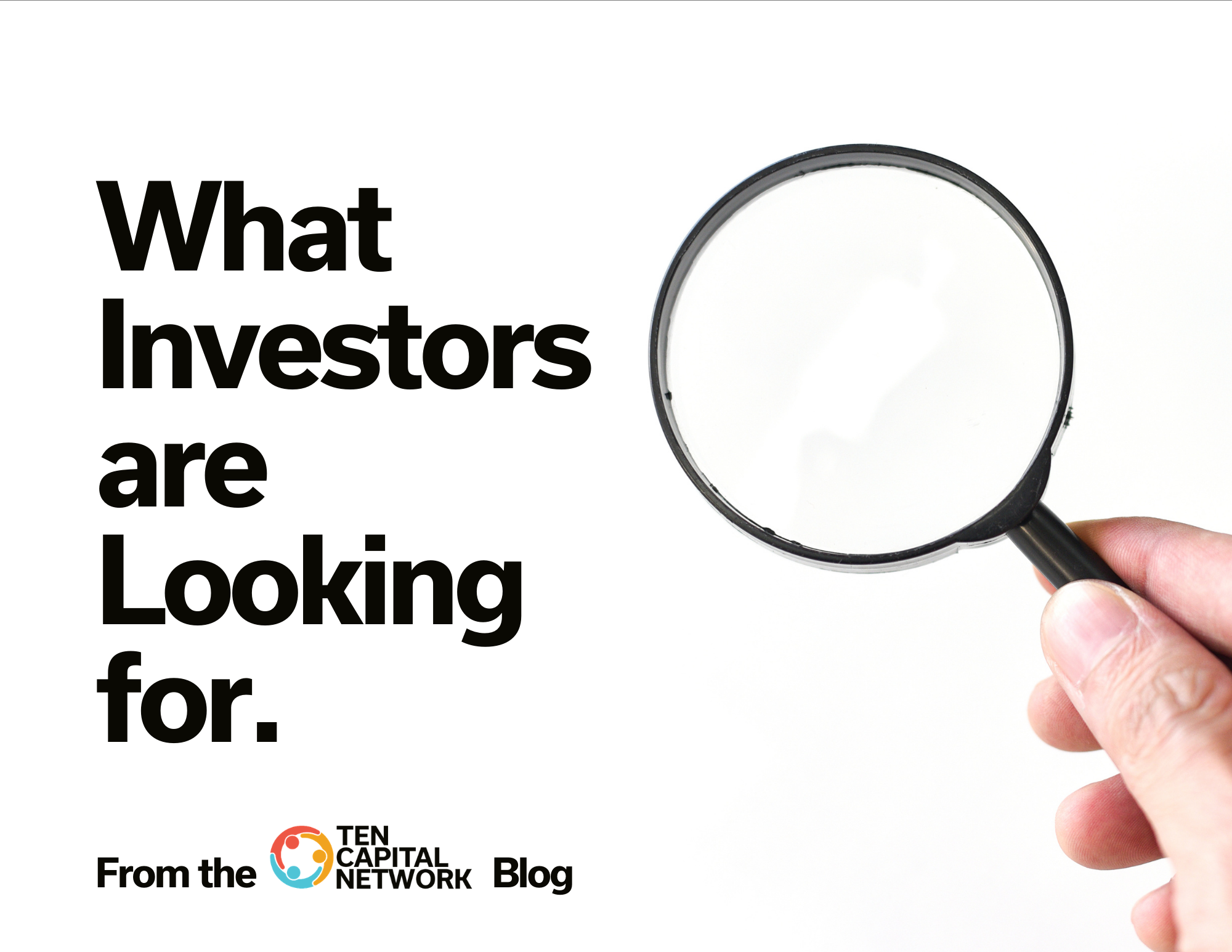 What Investors Look For